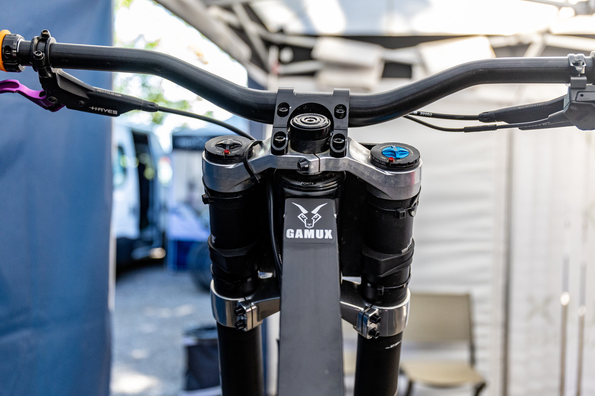 Pinion SmartShift on Gamux Prototype DH Bike The Hub Mountain